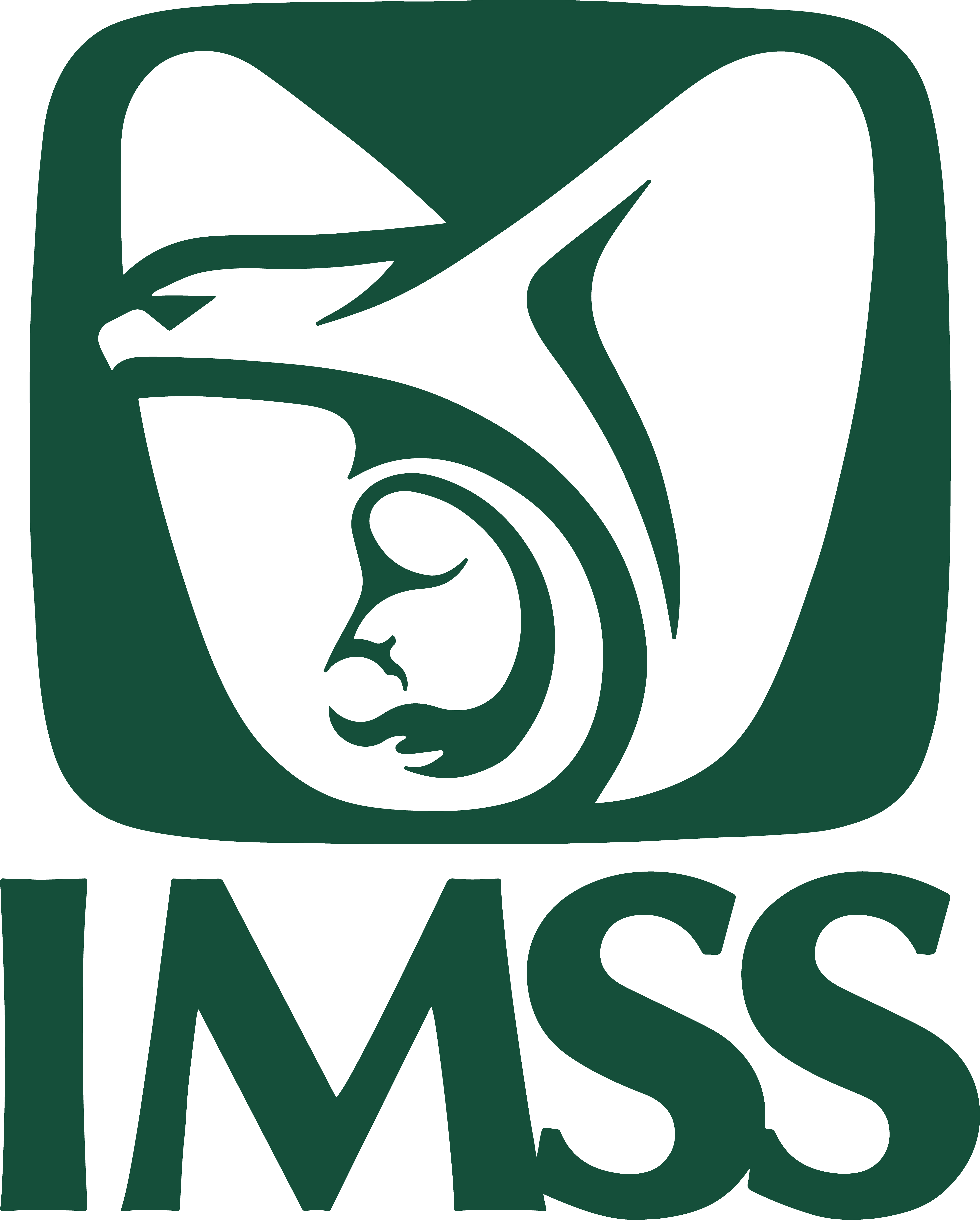 Icono IMSS